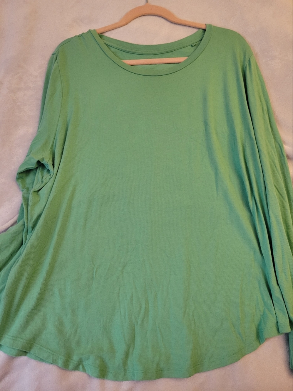 Universal Standard Tee Rex Long Sleeve Spearmint 18-20